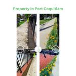 Frogs Group - photo 5