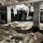 Healthy Crawlspace - photo 1