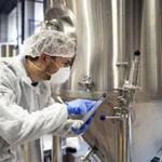 Bhoomi Process Management Pvt. Ltd. - photo 1