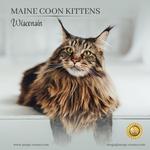 Mega Coons - photo 8