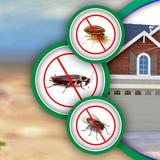SureFire Pest Control - Pest Control in Melbourne
