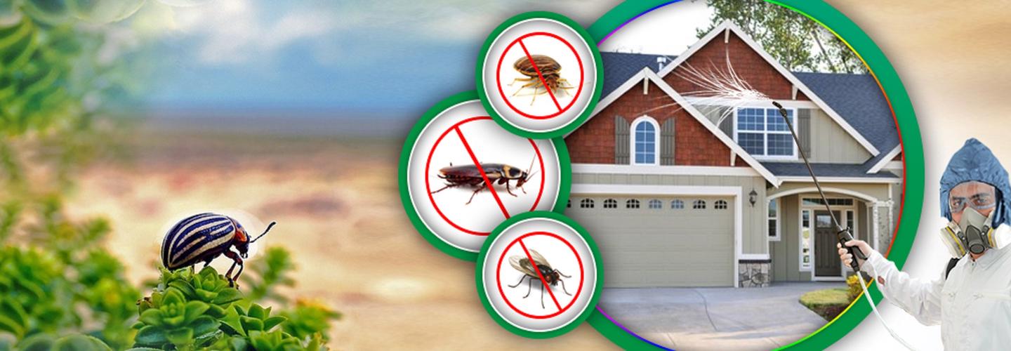 SureFire Pest Control cover photo