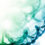 Enhance Insurance Services - photo 3