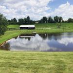 Clearwater Lake & Pond - photo 2