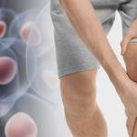 Zigna Genix - photo 1