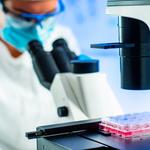 Zigna Genix - photo 4