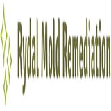 Rydal Mold Remediation - Home Services in Cartersville