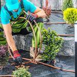 Pacific Roots Landscaping - photo 2