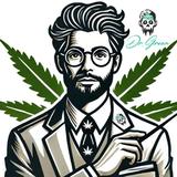 Professor Green & Dr Green - Health & Medical in Cape Town