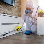 Surefire Pest Control Sydney - photo 1