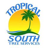 Tropical South Tree Services - Tree Services in Cutler Bay