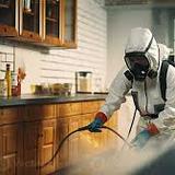 SureFire Possum Removal Melbourne - Pest Control in Melbourne