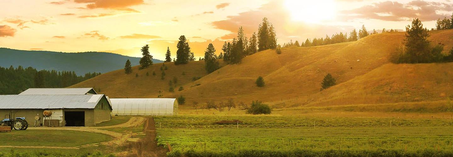 Whole Earth and Sea cover photo