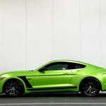 Executive Roadworthy Shalier Park  - photo 10