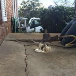 Evansville Foundation Repair - photo 1