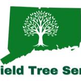 Fairfield Tree Service - Tree Services in Bethel