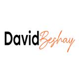 David Beshay Real Estate - The Agency
