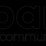 BlckPanda Website Design & SEO Dallas