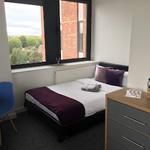 The Studios - photo 4