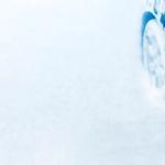 Wow Express Car Wash and Oil Change - photo 1