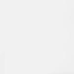 Wow Express Car Wash and Oil Change - photo 4