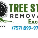 Tree Stump Removal and Excavation - Tree Services in Norfolk