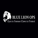 Blue Lion Ops - Automotive in Sao Paulo