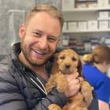 Murieta Veterinary Hospital - Veterinarians/Vets in Murrieta