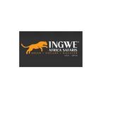 Ingwe Africa Safaris