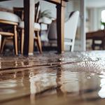 DynaClean Professional Services - photo 3