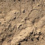 Texas Soil Stabilization - photo 4