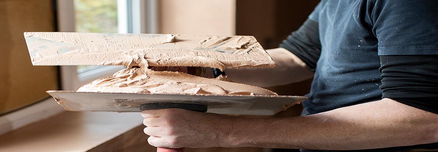 The Plaster Master cover photo