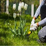 Lawn Mower - Nurseries & Gardening in London