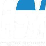 Auto Sphere Motor Sports - Auto/Car Repair in Buford