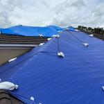 Blue Tarp Express - photo 2