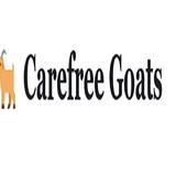 Carefree Goats - Pets in North Charleston