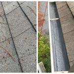 lance@pinelandcleaningsolutions.com - photo 10