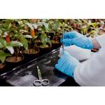 Anvil Media - photo 3