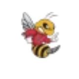 Martrow - Damp Proofing & Dry Rot Services in Arizona