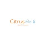 Citrus Fresh Carpet Cleaning  - Business Consulting in Atlanta