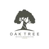 Evergreen Canopy Services