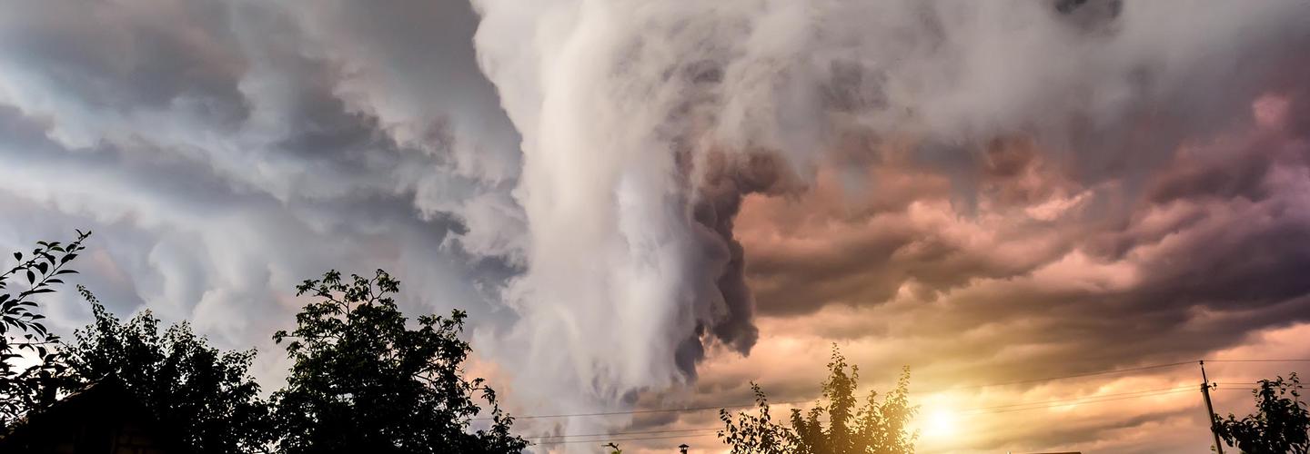 The Refuge cover photo