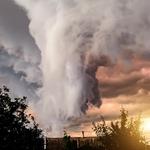 The Refuge - photo 2