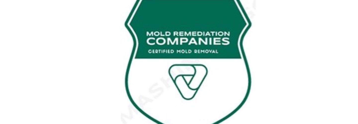 Jupiter Mold Remediation Pros cover photo