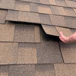 Badgerland Exteriors - photo 6