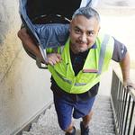 Verdant Building Services - photo 6