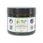 Nirvana Today - photo 5