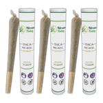 Nirvana Today - photo 7