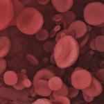 vasculex servioce - photo 7