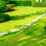 phoenixinternational - photo 4